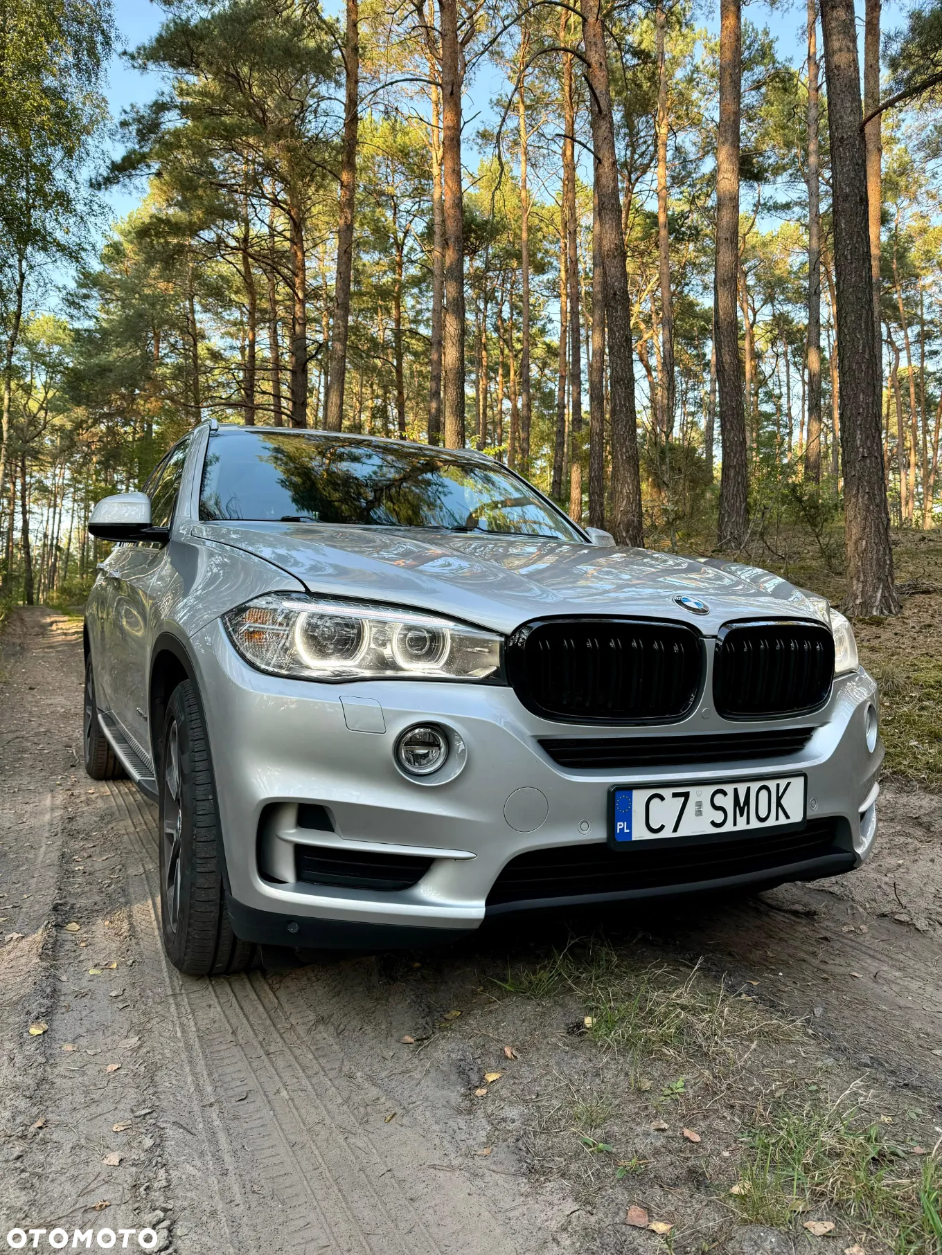 BMW X5 xDrive50i - 9