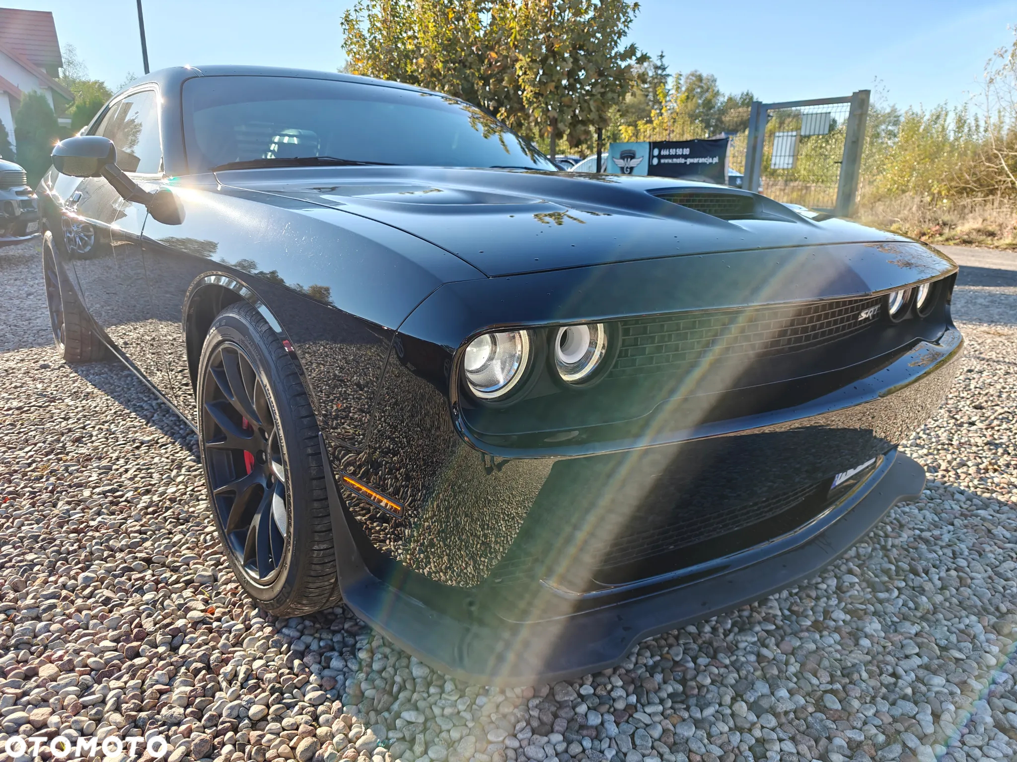 Dodge Challenger - 11