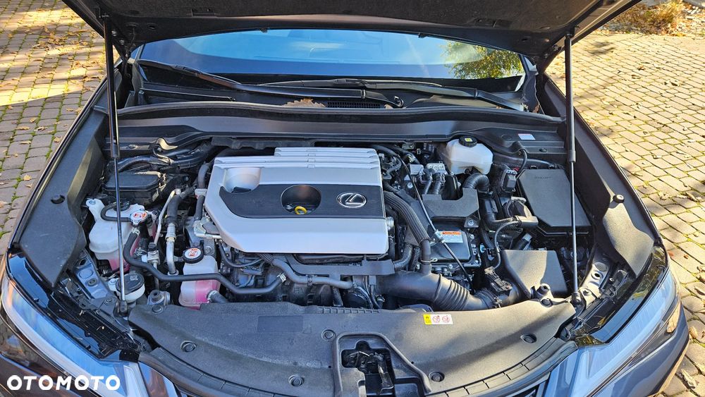 Lexus UX 250h GPF F Sport Design 2WD - 40