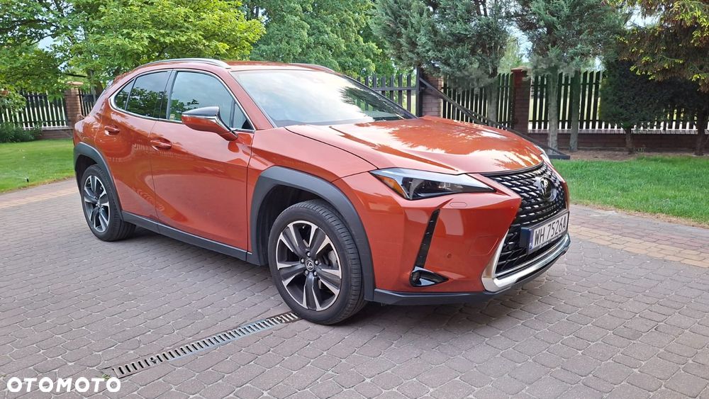 Lexus UX 200 GPF F Sport Design 2WD - 10