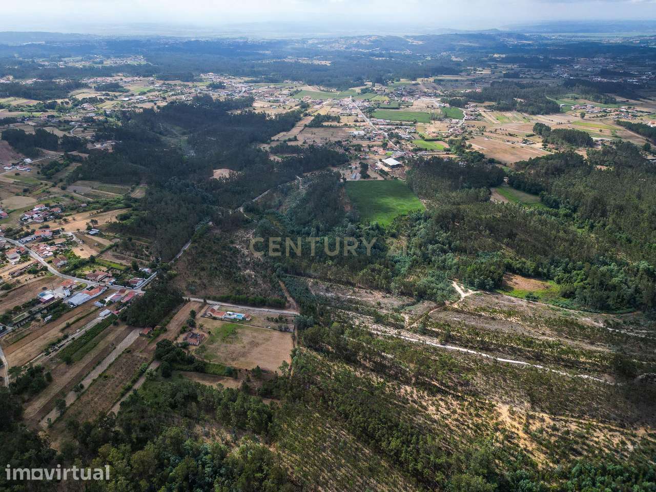 Pinhal com 1.425 m² em Brejal – Cabeça Alta, Seixo de Gatões, Montemor - Grande imagem: 5/13