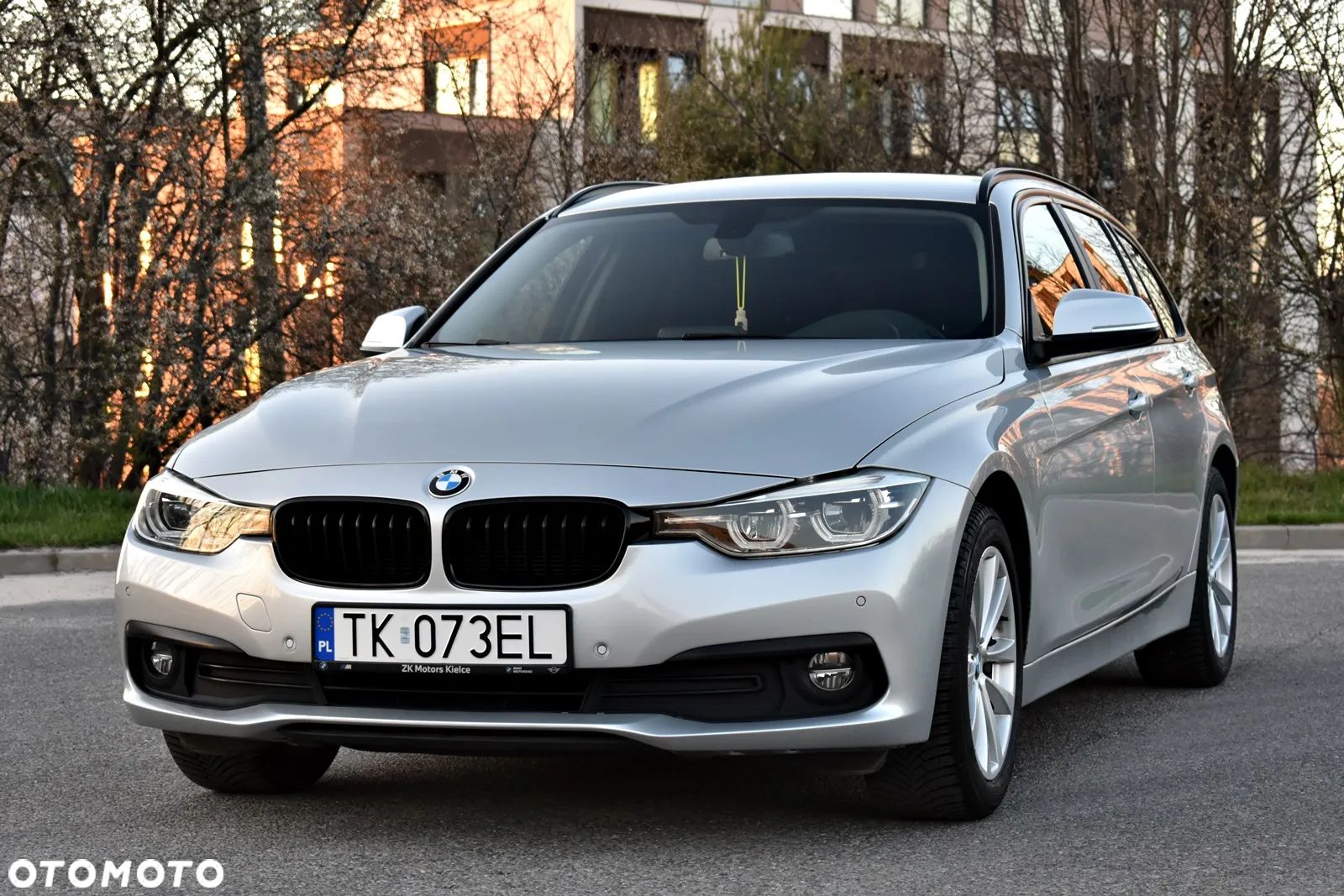 BMW Seria 3 318d Advantage - 1