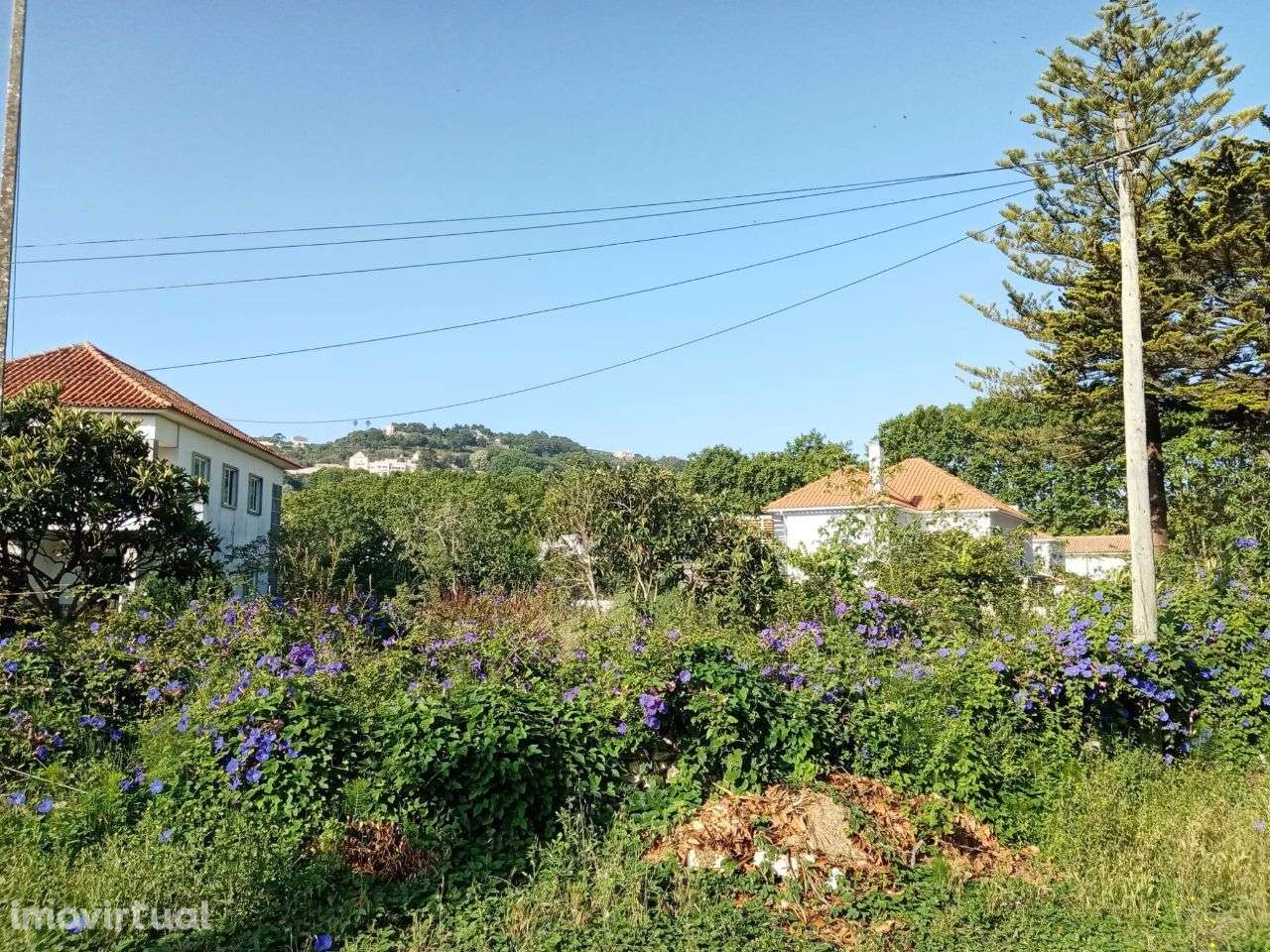 Terreno urbano em Colares - Grande imagem: 4/13