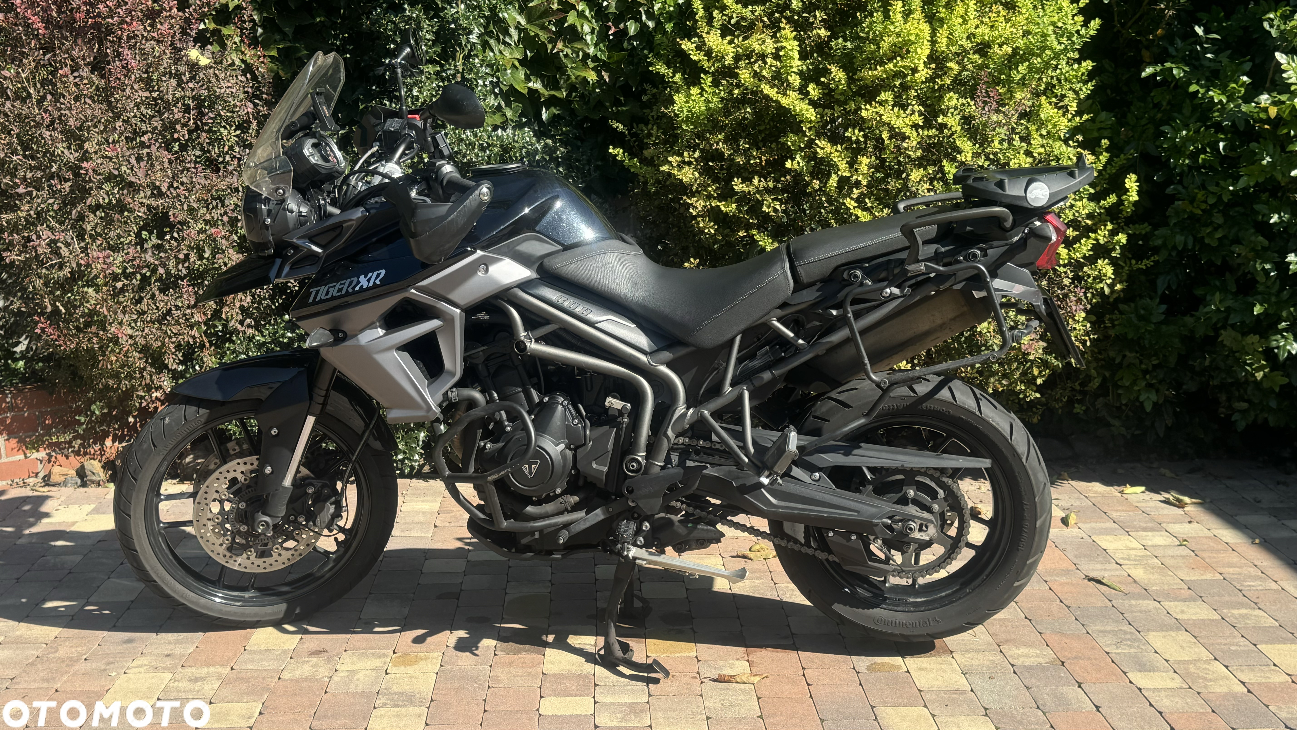 Triumph Tiger