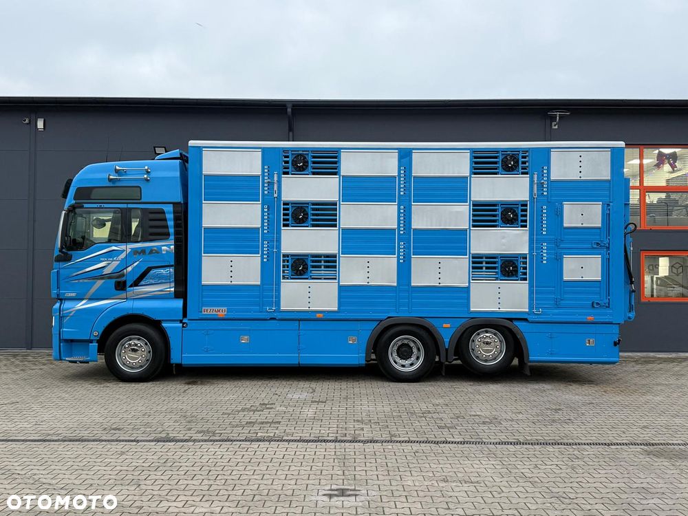 MAN TGX 26.540 // E6 // Zabudowa PEZZAIOLI // 3 poziomy hydraulika, podnoszony dach, rampa hydrauliczna // do żywca, do bydła, do transportu zwierząt - 2