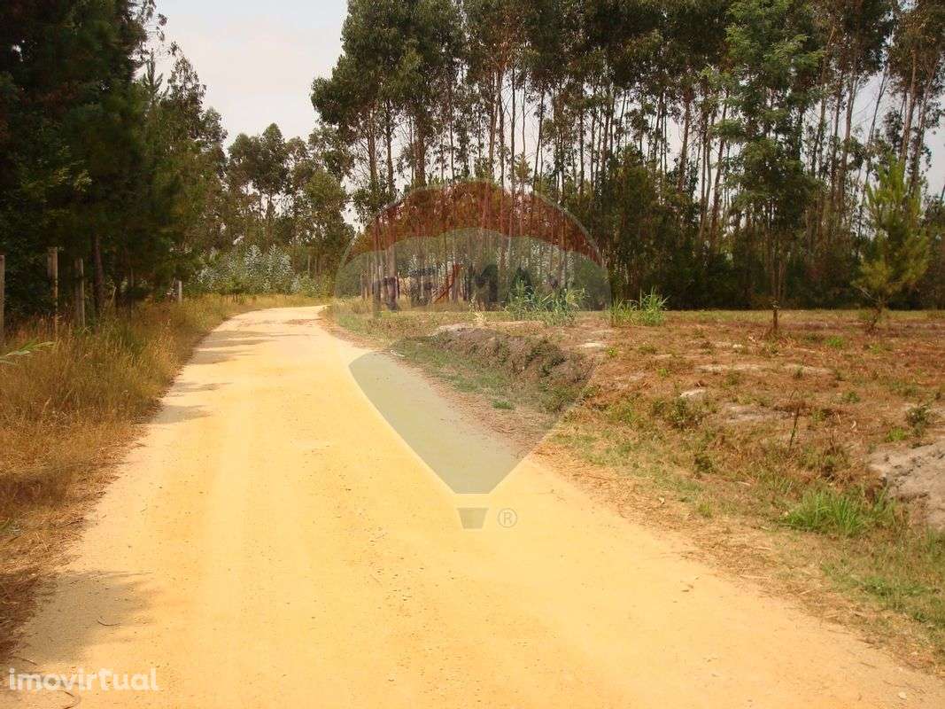 Terreno  para venda - Grande imagem: 5/11