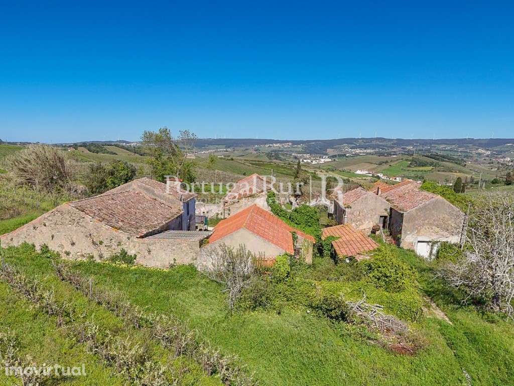 Quinta de 10,5 ha com vinha e construções em Alenquer - Grande imagem: 4/17