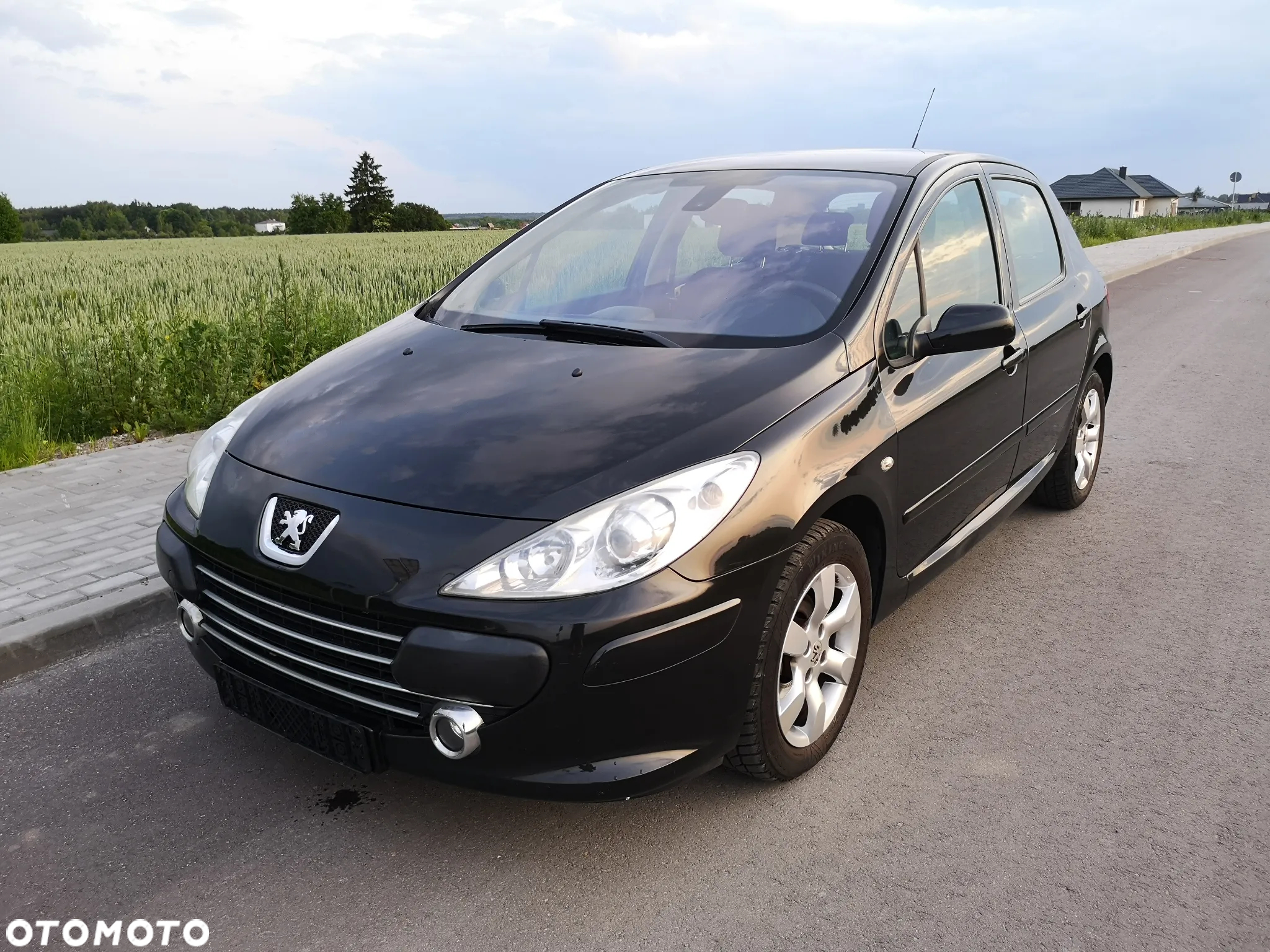 Peugeot 307 110 OXYGO - 32