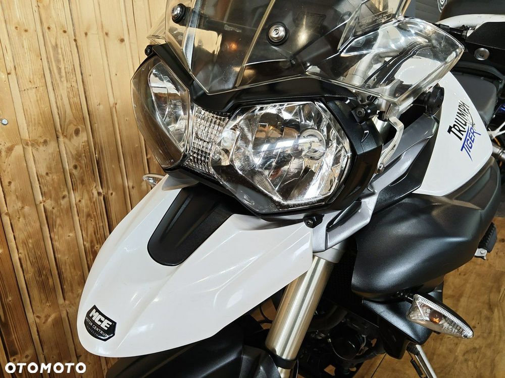 Triumph Tiger - 18
