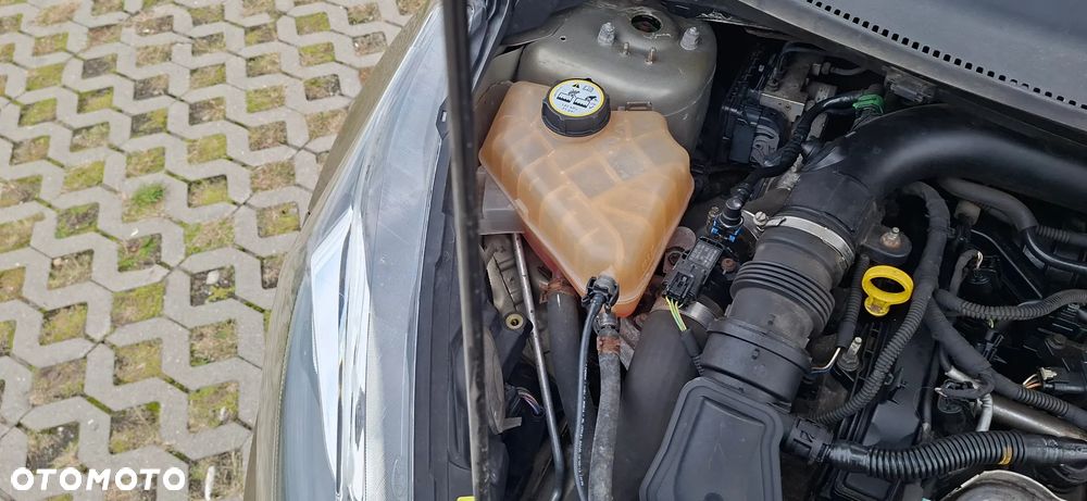 Ford Fiesta 1.0 EcoBoost Trend - 16
