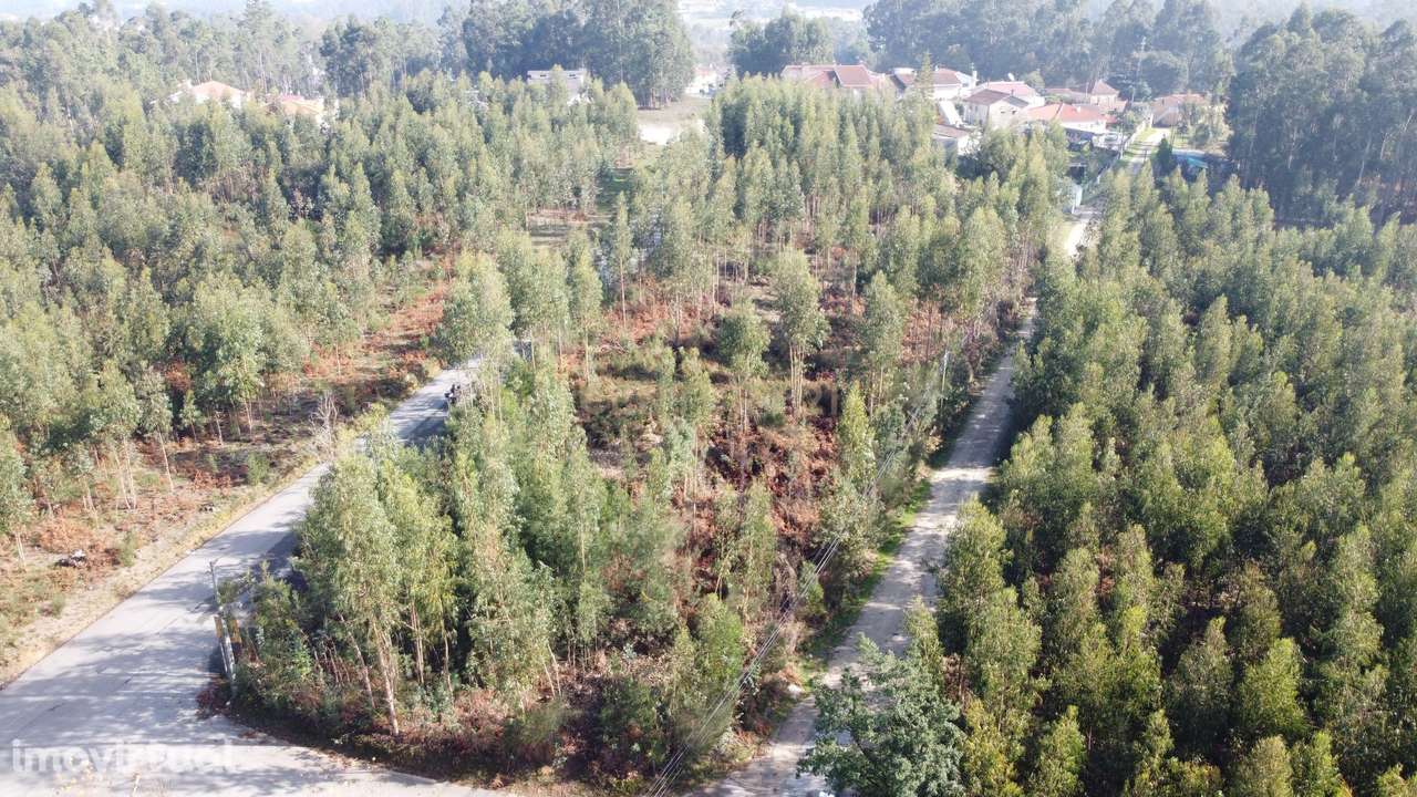 Terreno com 4.160m2 - Guisande - Grande imagem: 2/14