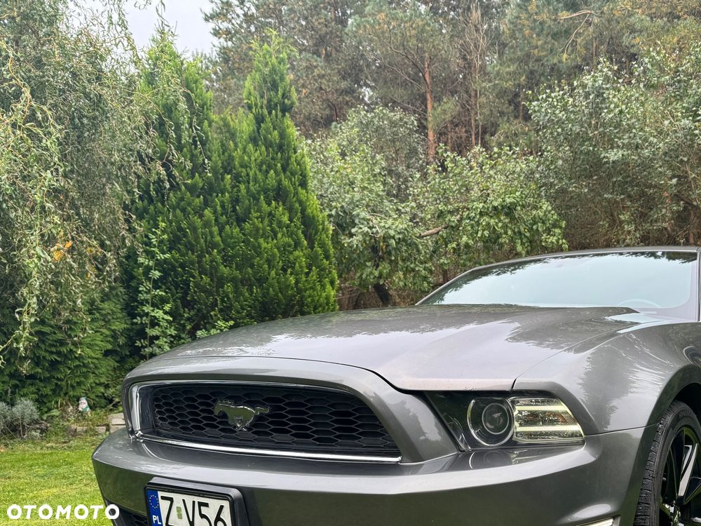 Ford Mustang 3.7 V6 - 3