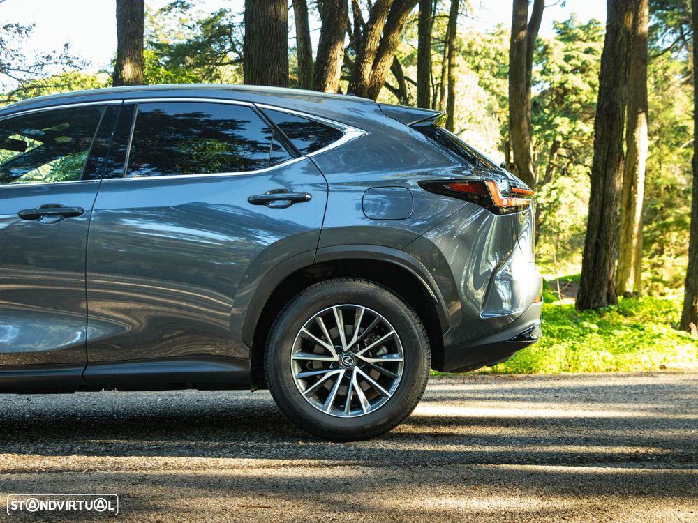 Lexus NX 350h Executive+ - 20