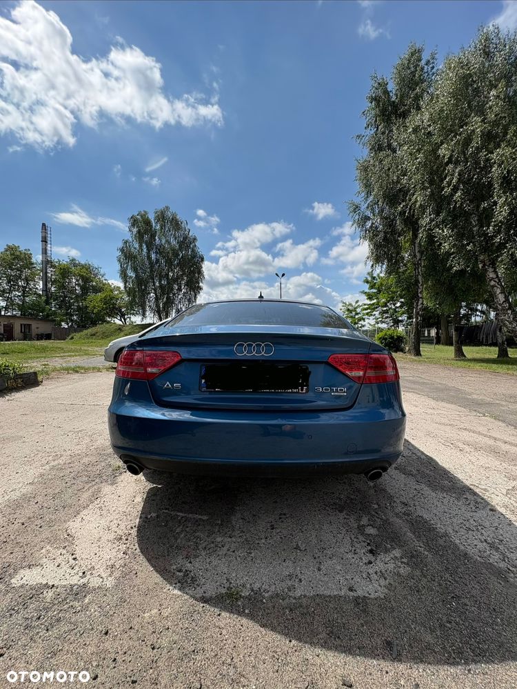 Audi A5 Sportback 3.0 TDI quattro DPF S tronic - 7