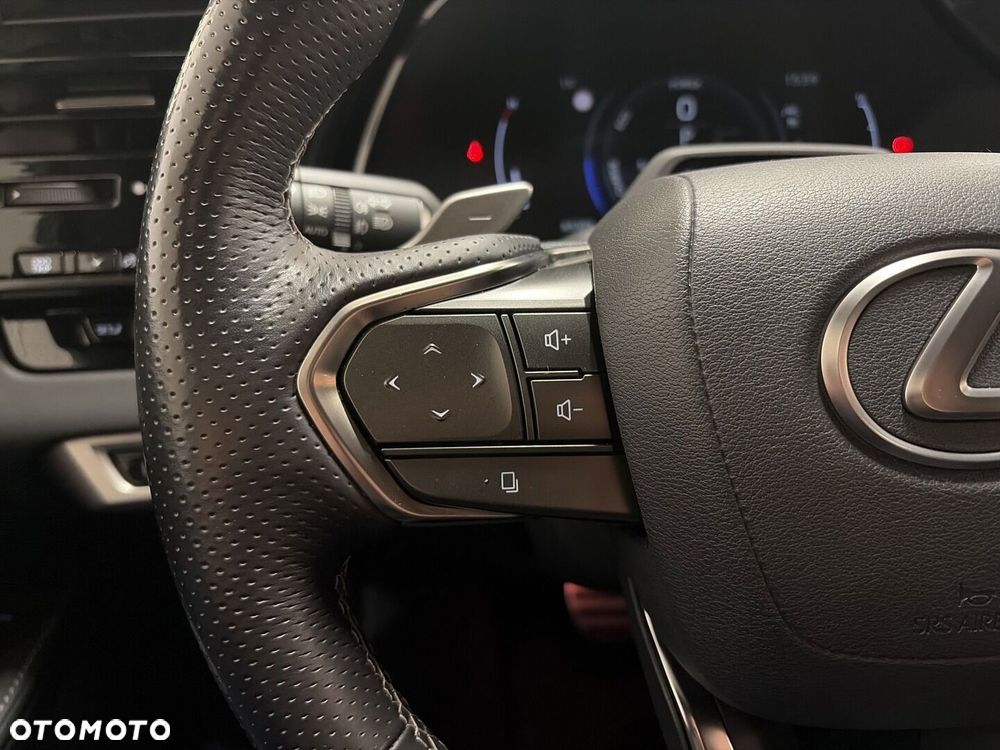 Lexus RX - 14