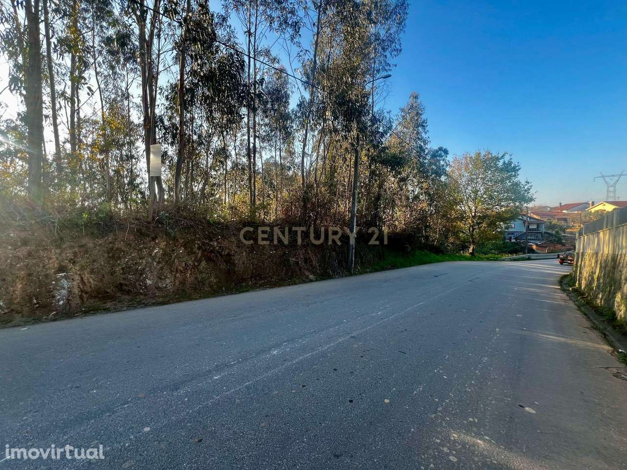 Terreno Urbanizável em Cristelo - Branca (Albergaria-a-Velha) - Grande imagem: 4/12