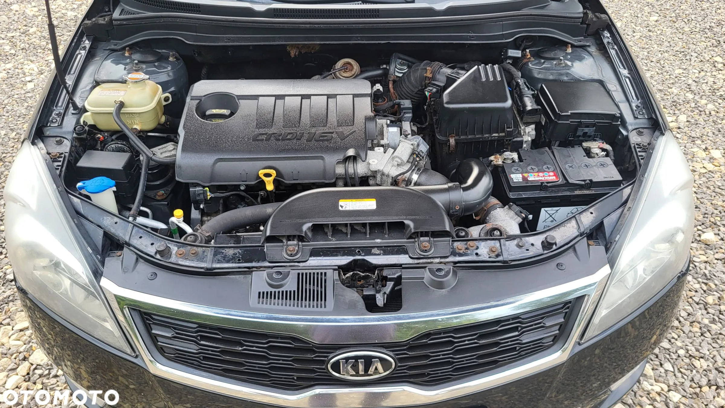 Kia Ceed Cee'd 1.6 Crdi Comfort + - 24