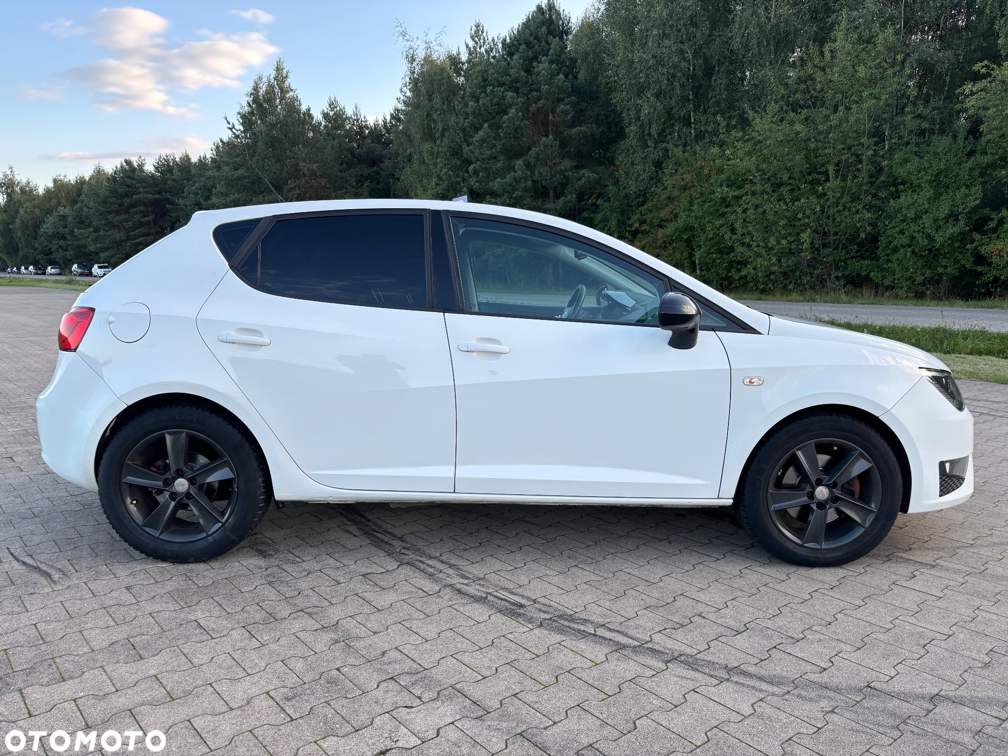 Seat Ibiza 2.0 TDI FR - 6