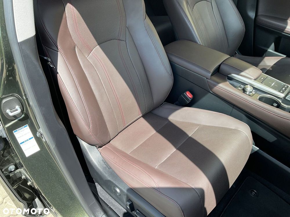 Lexus RX - 13