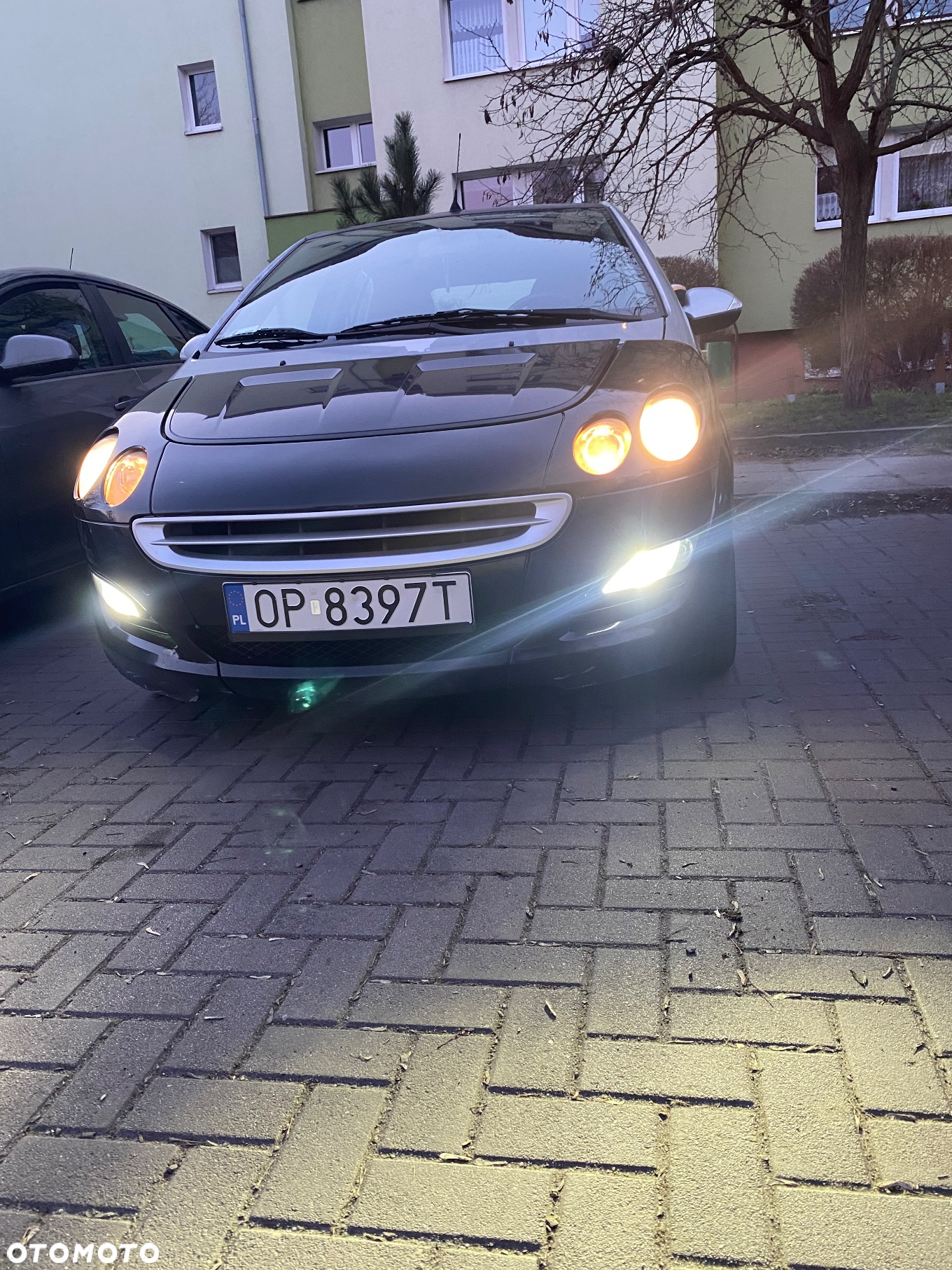 Smart Forfour - 12