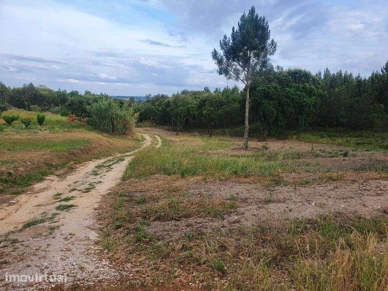 Terreno Rustico com viabilidade de construção - Grande imagem: 4/12