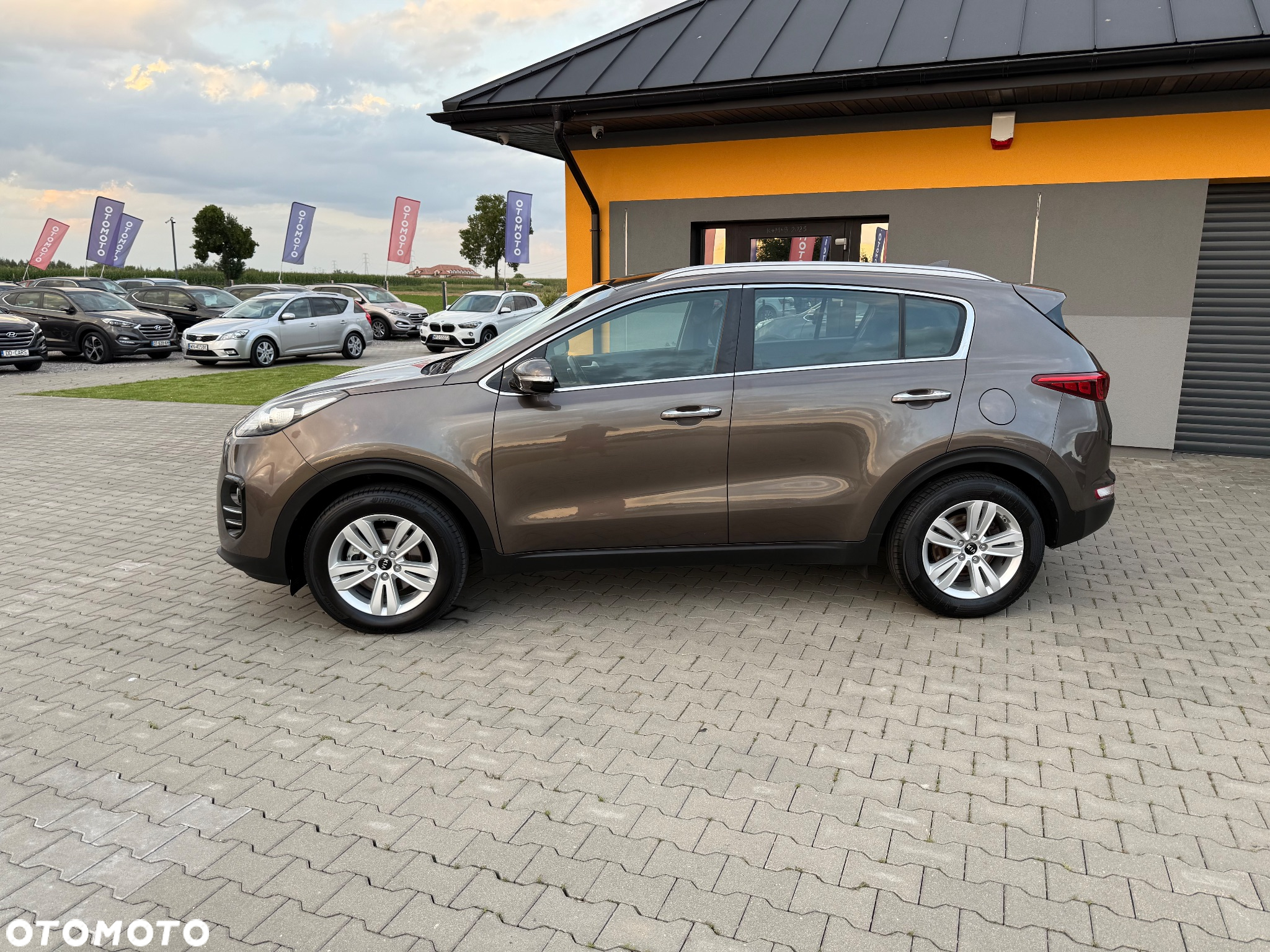 Kia Sportage 1.7 CRDI Business Line M 2WD - 11