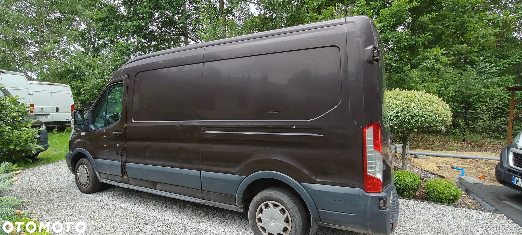 Ford Transit - 3