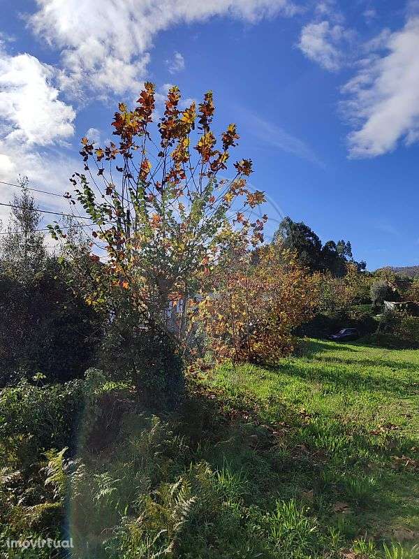 Quinta  para venda - Grande imagem: 4/4