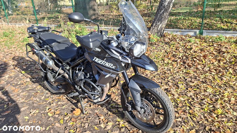 Triumph Tiger - 5