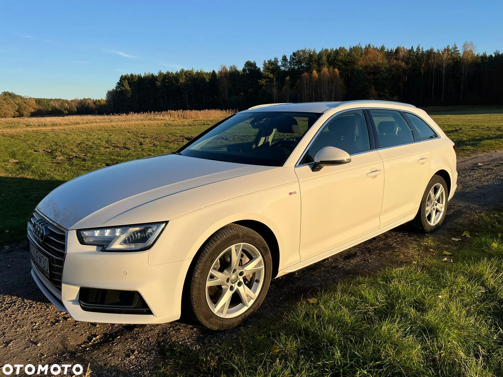 Audi A4 2.0 TDI Sport S tronic - 9