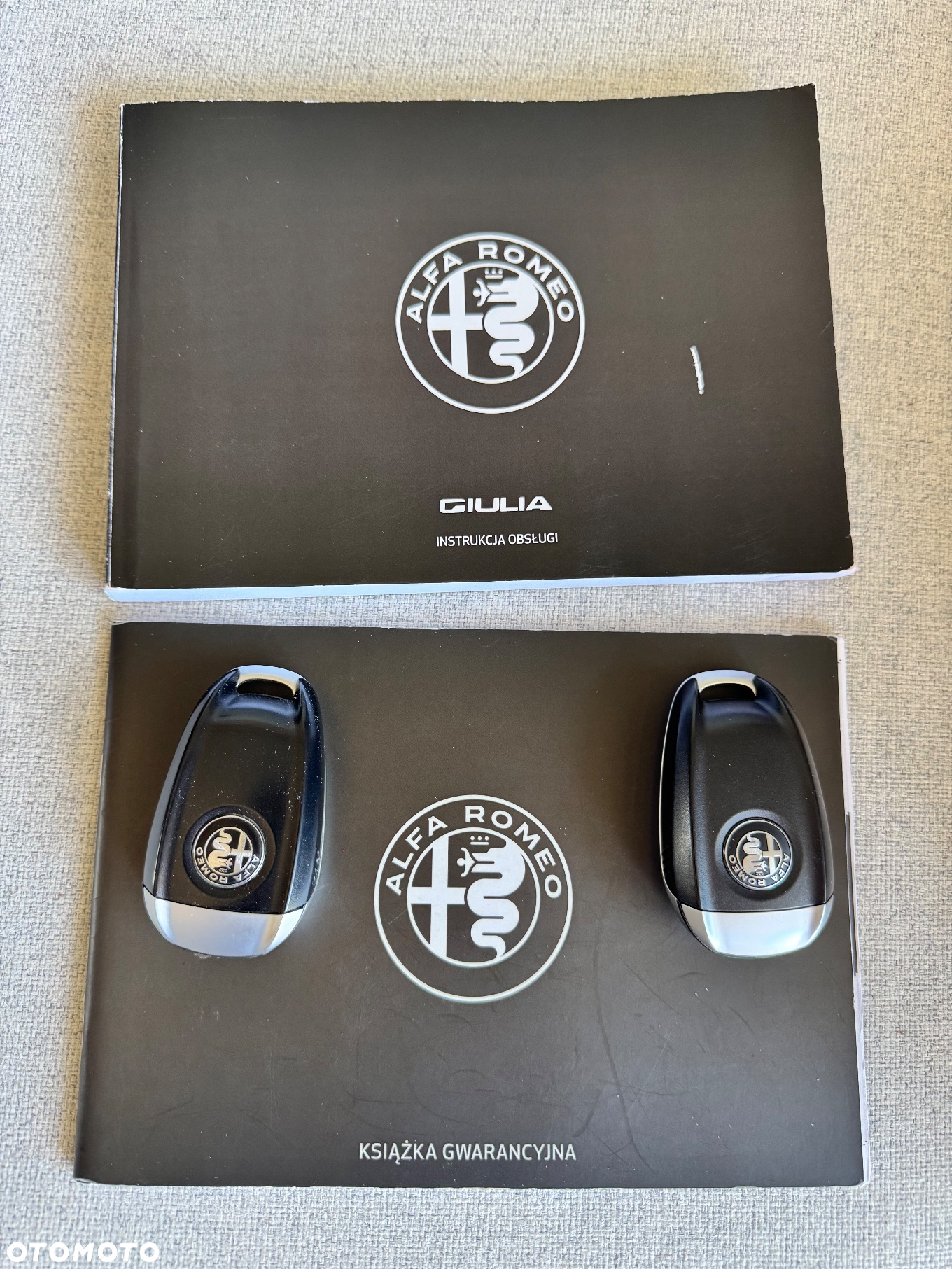 Alfa Romeo Giulia 2.0 Turbo Veloce Q4 - 16