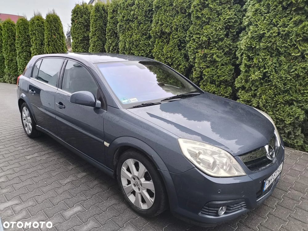 Opel Signum 1.9 CDTI Cosmo Plus - 9