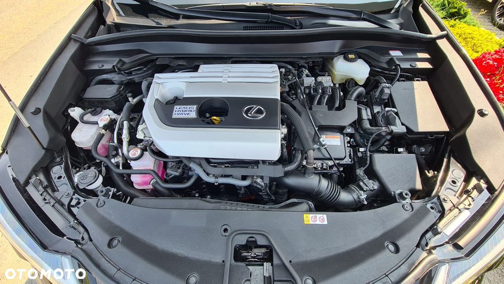 Lexus UX 250h GPF Prestige AWD - 34