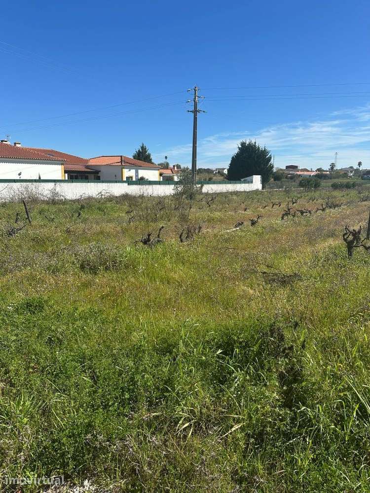 Terreno 5000m2 Urbanizavel - Grande imagem: 2/5