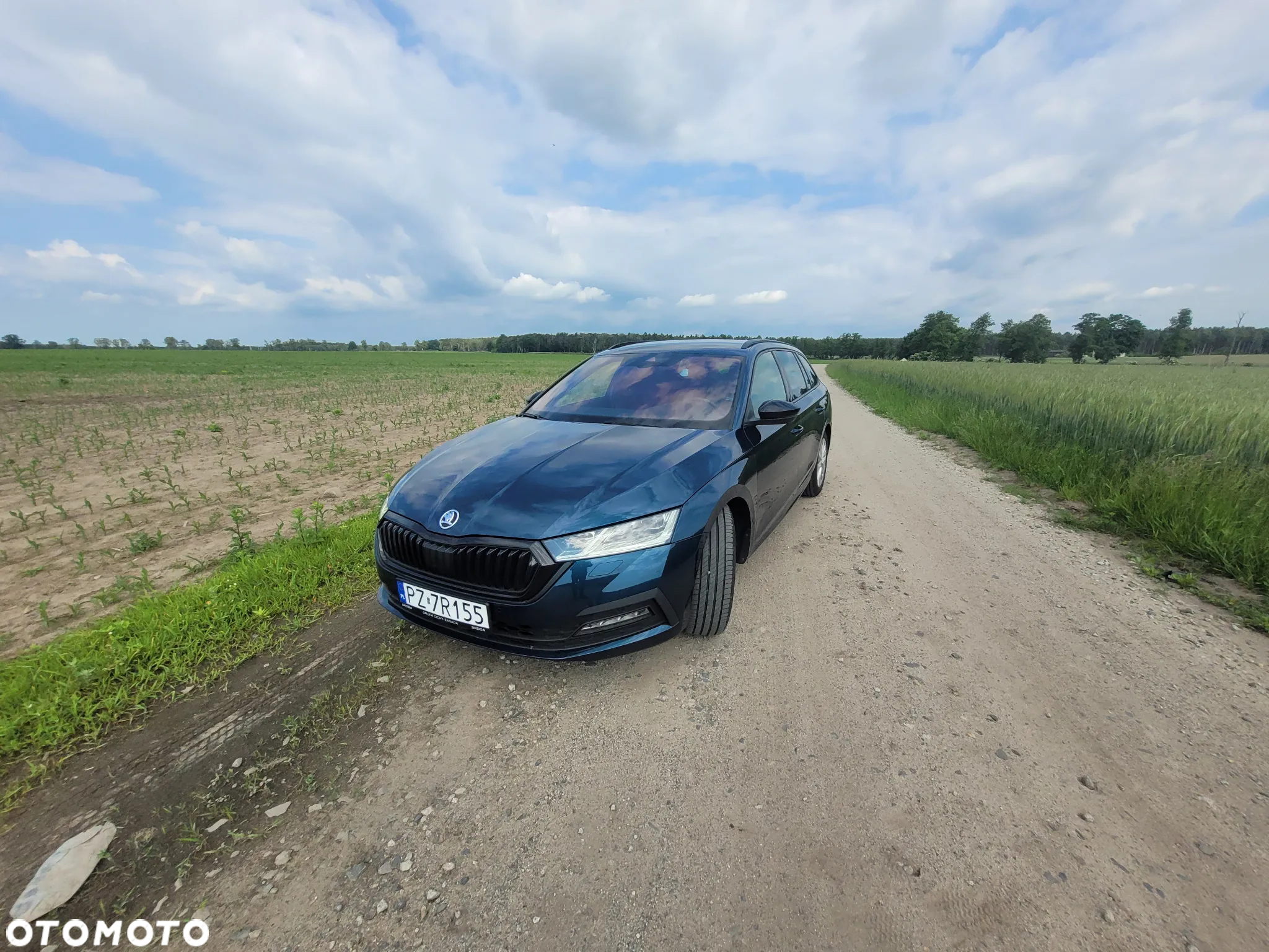Skoda Octavia - 28