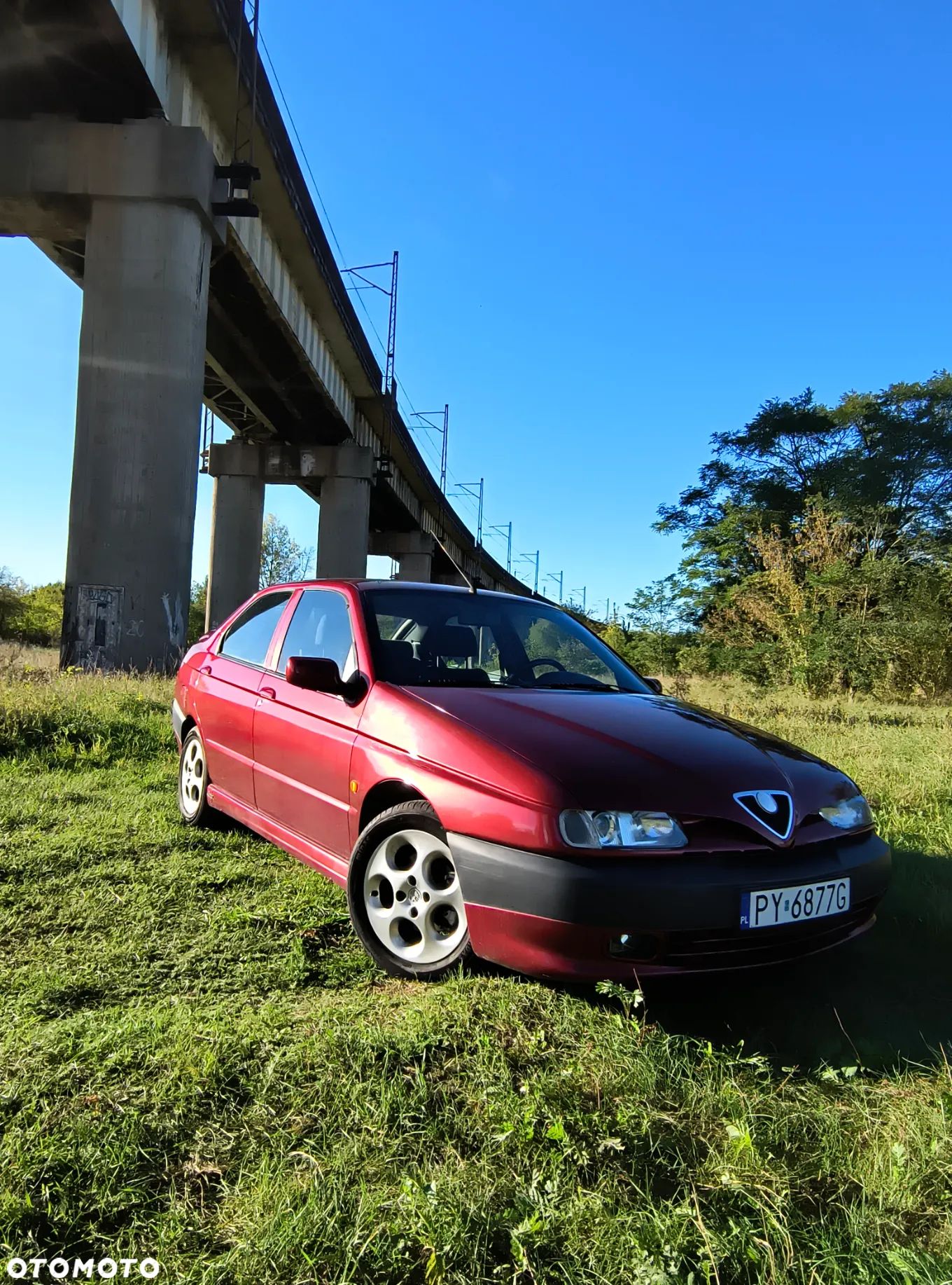 Alfa Romeo 146 1.6 TSpark L - 1