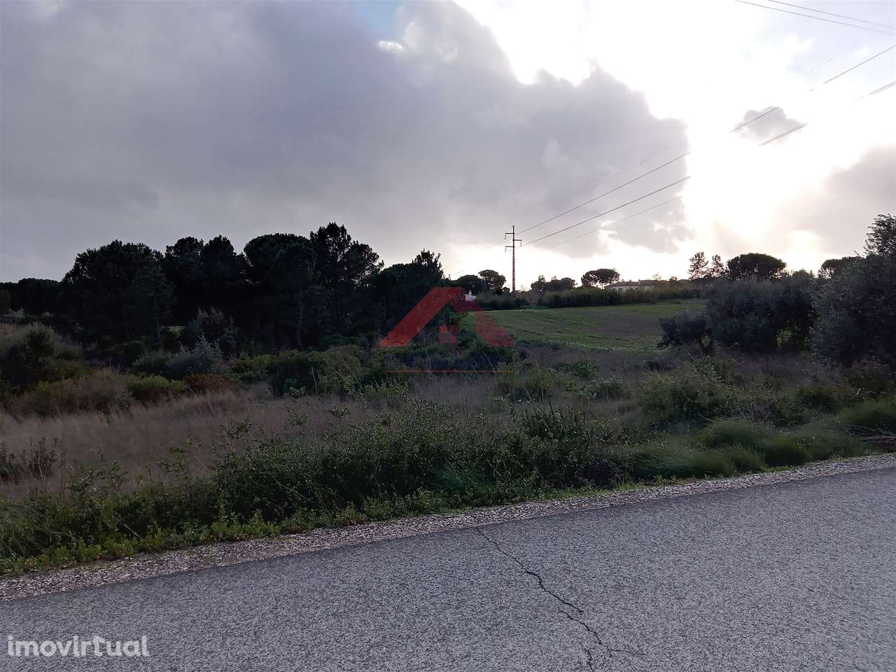 Terreno Rústico  Venda em Vila Chã de Ourique,Cartaxo - Grande imagem: 5/7