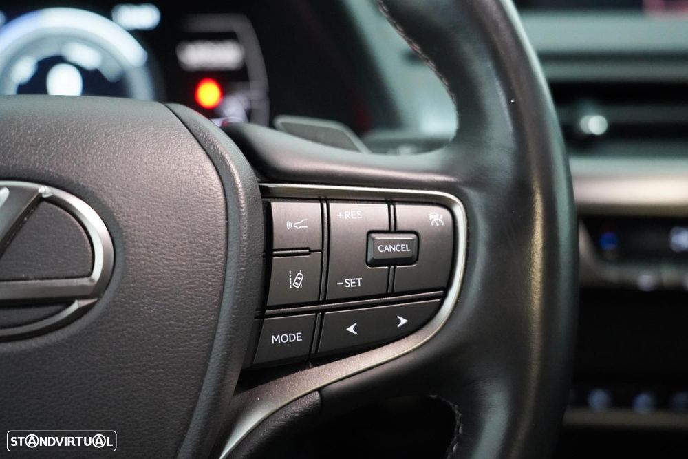 Lexus UX 300e Luxury - 17