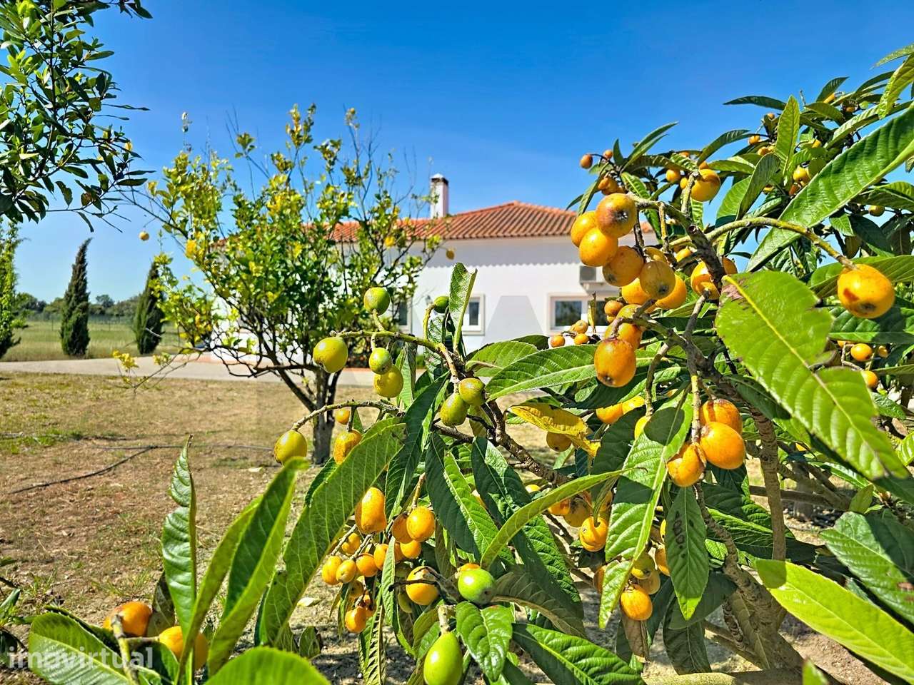 Quinta com Moradia térrea T2 transformável em T3, com privacidade em P - Grande imagem: 3/33
