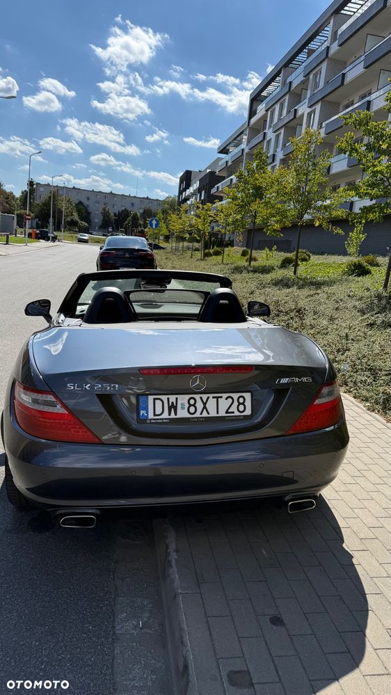 Mercedes-Benz SLK 250 CDI (BlueEFFICIENCY) 7G-TRONIC - 6