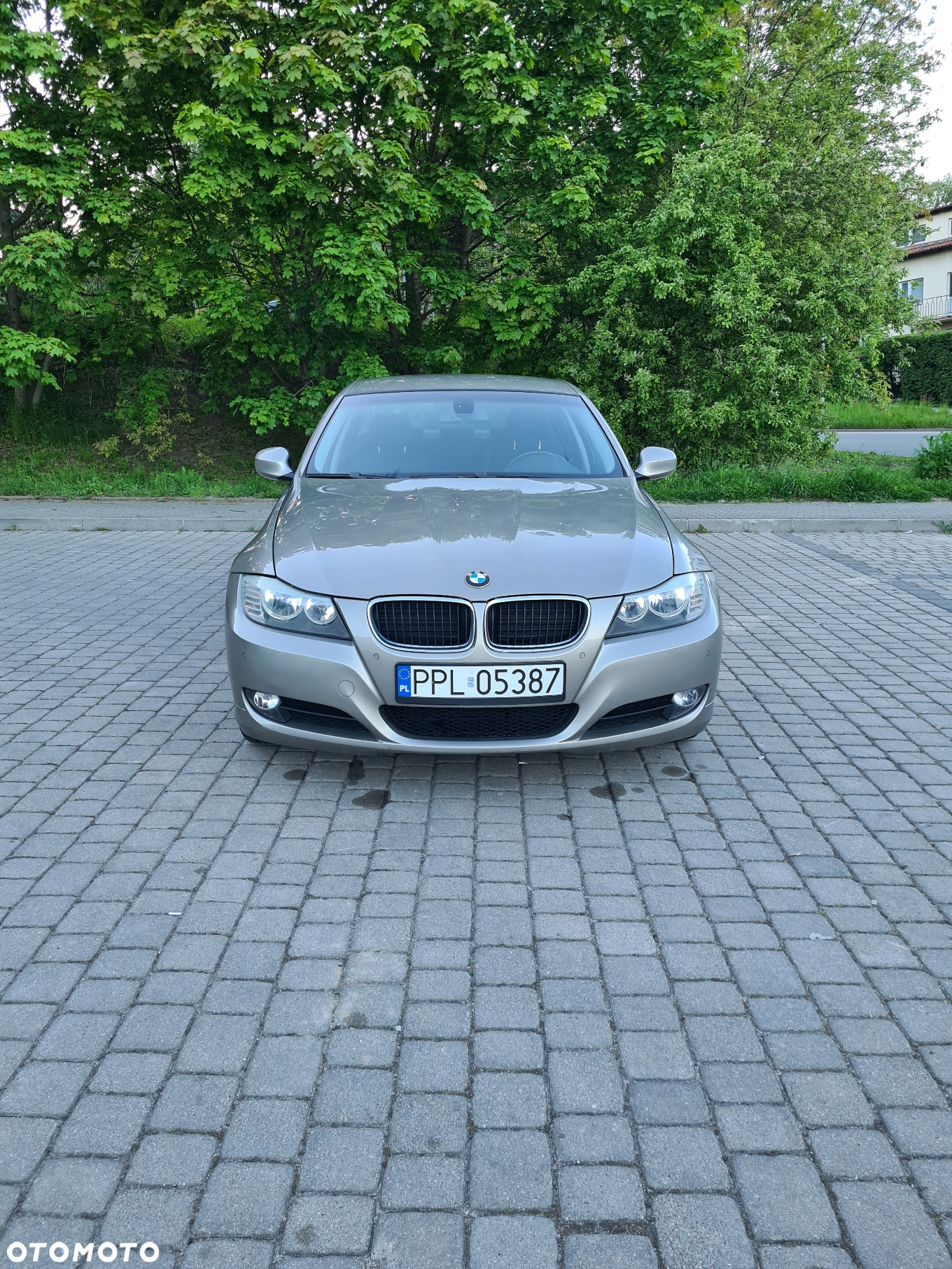 BMW Seria 3 - 2