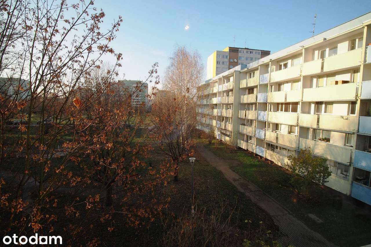 Również student duża kawalerka z piwnicą Boczna Legnickie