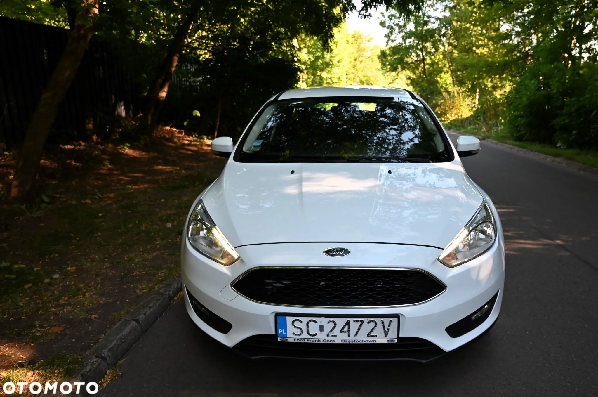 Ford Focus - 1