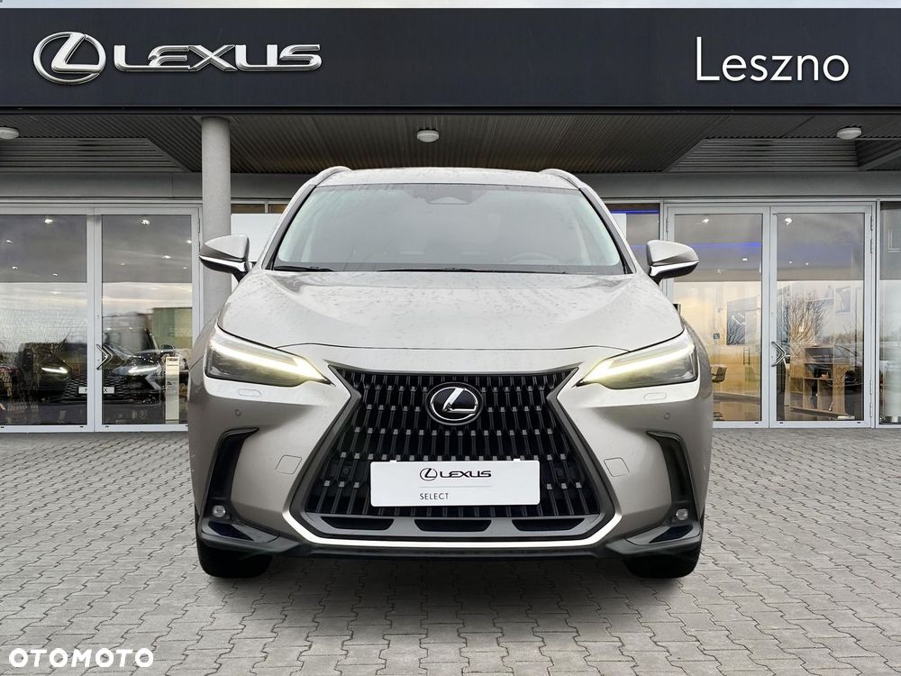 Lexus NX 350h Prestige AWD - 7