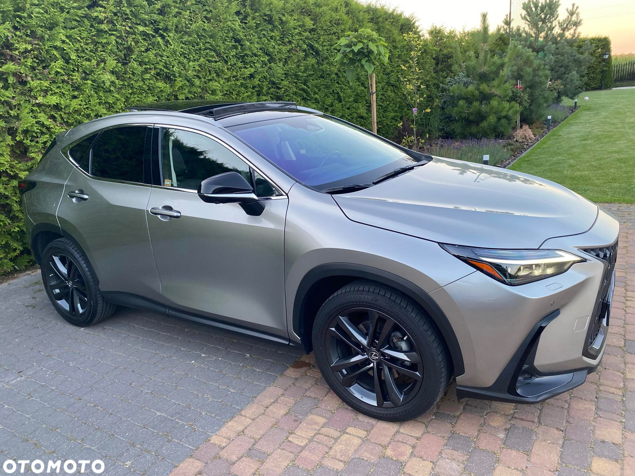 Lexus NX - 4