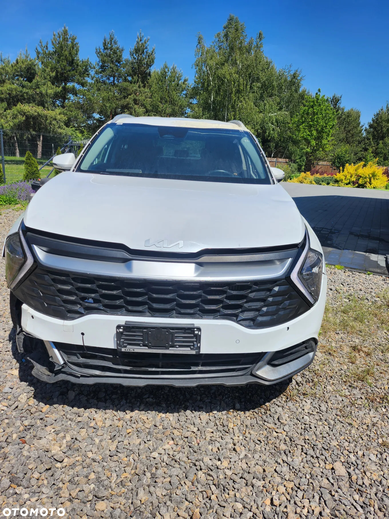 Kia Sportage 1.6 CRDI MHEV Black Edition Plus 4WD - 10