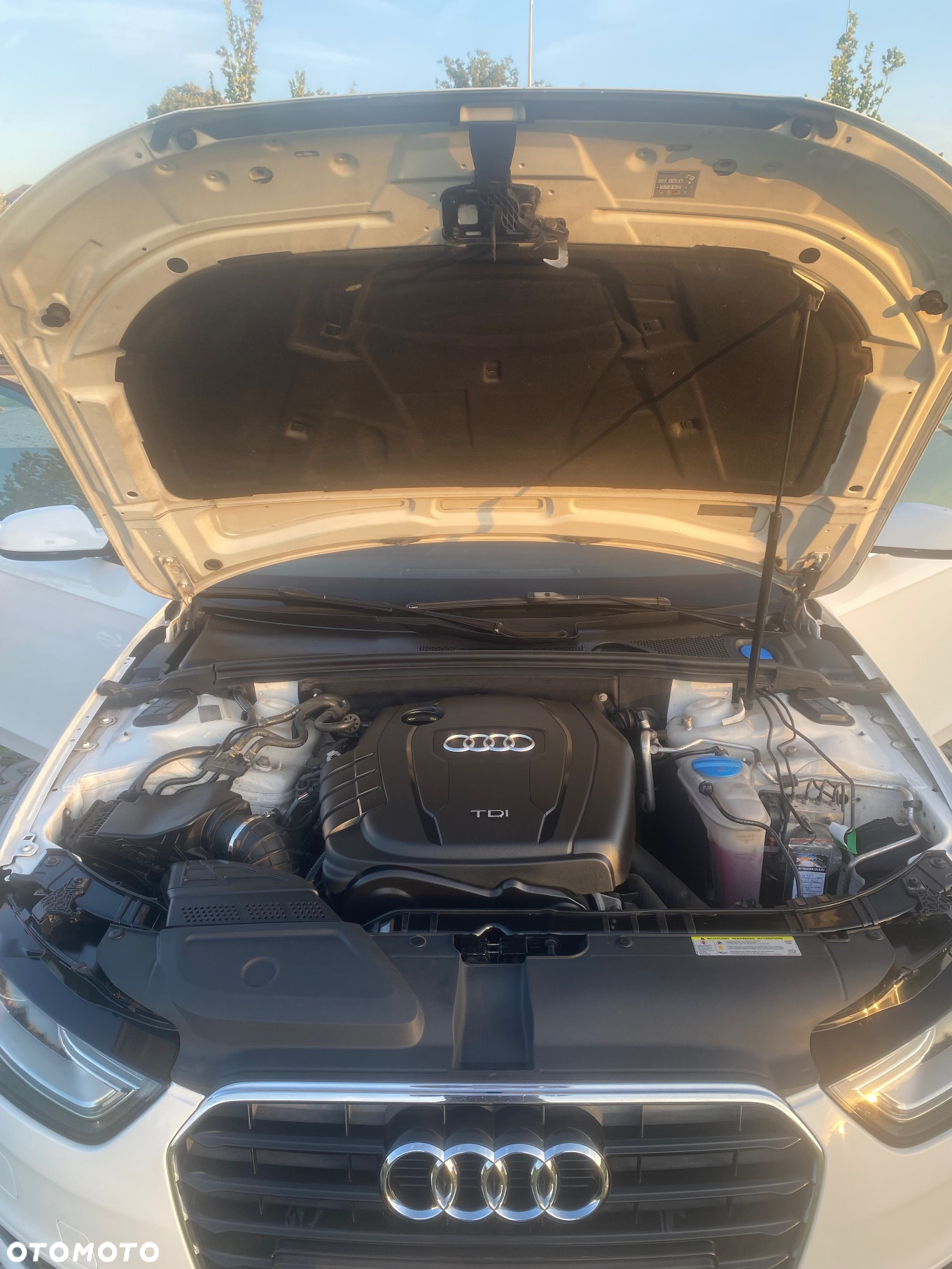Audi A4 - 24