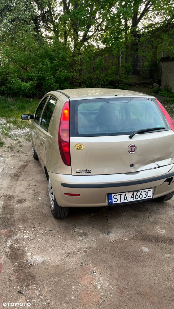 Fiat Punto - 12