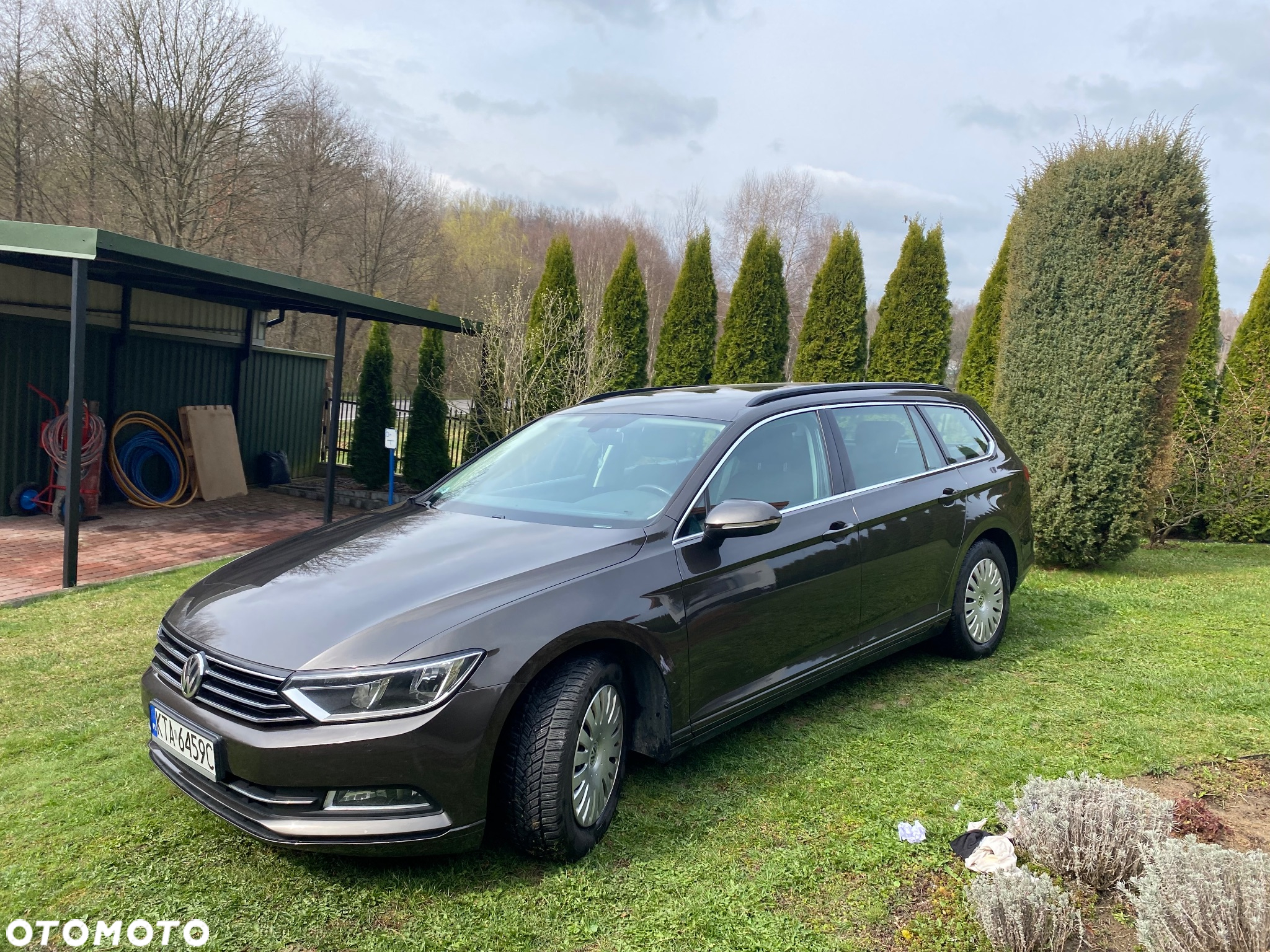 Volkswagen Passat - 4