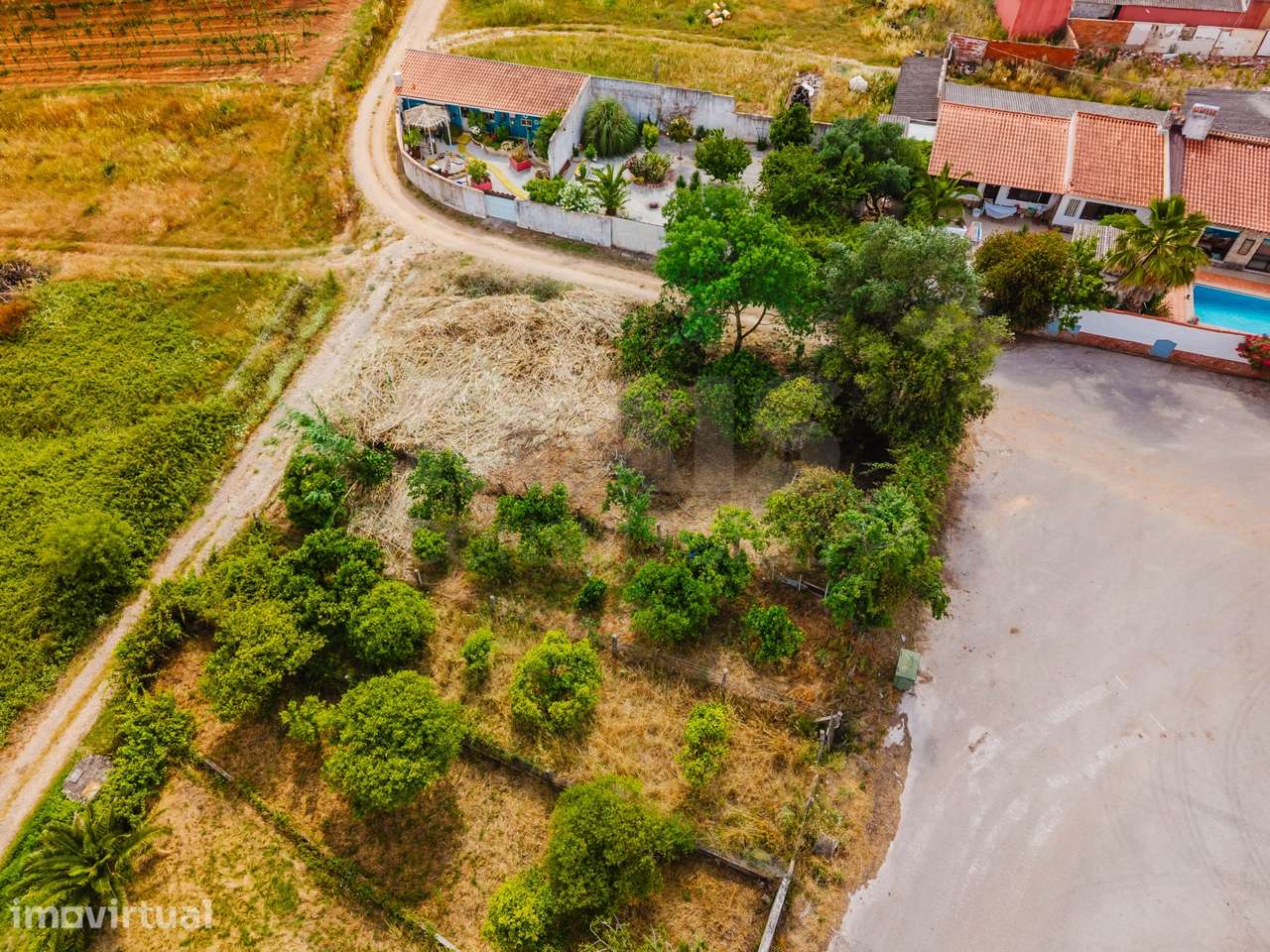 Terreno Urbanizável com Vista Serra | Brejo, Estorninho - Bombarral - Grande imagem: 5/13
